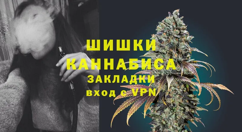 цена   mega рабочий сайт  Бошки марихуана White Widow  Новоалтайск 